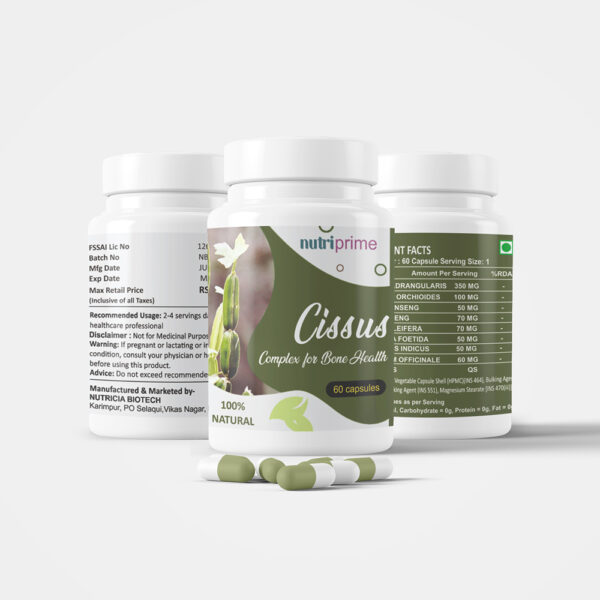 Cissus Complex